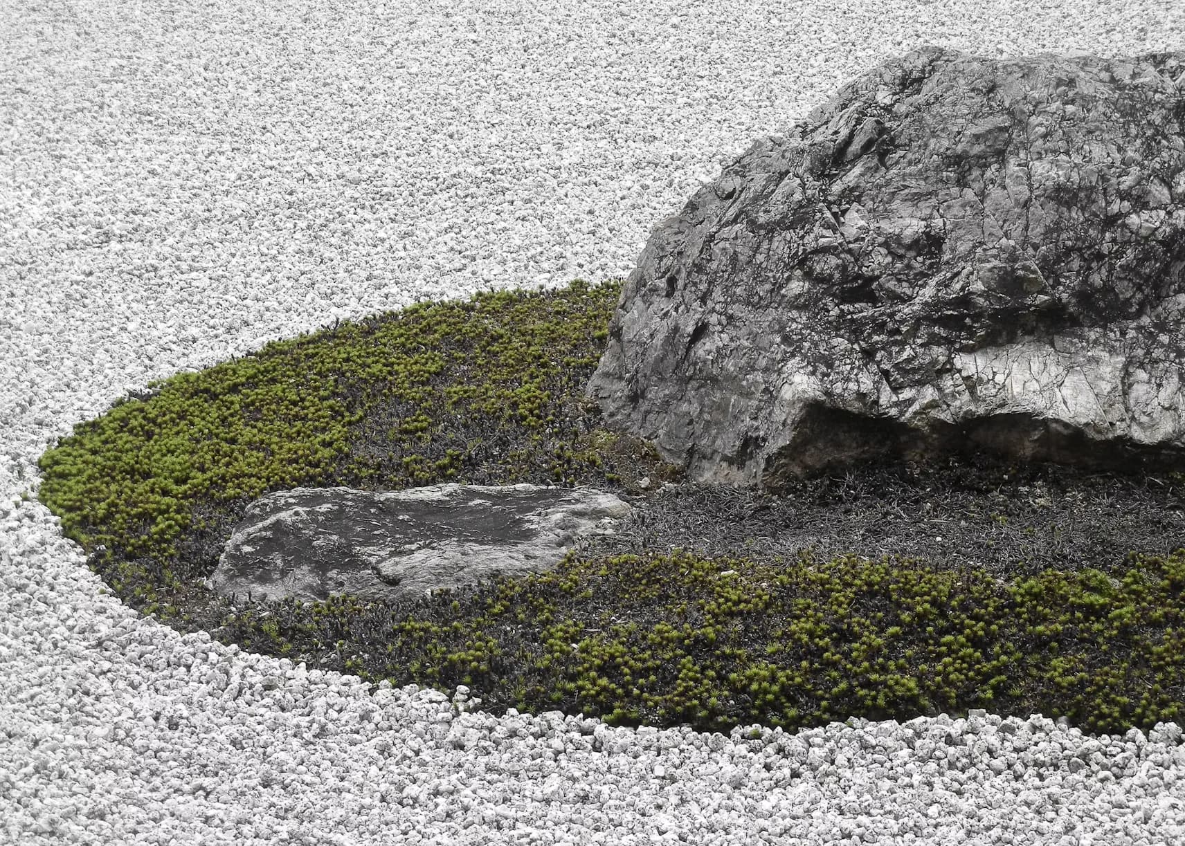 Zen Garden